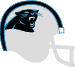 team-helmets-panthers.png