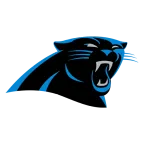 panthers team logo